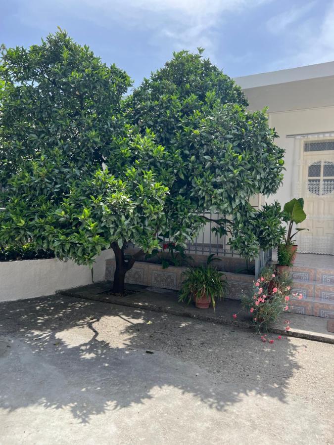 Rooms For Rent Habipi วญอเรอ ภายนอก รูปภาพ